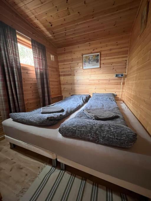 Cozy And Spacious Cabin Svensby Dış mekan fotoğraf